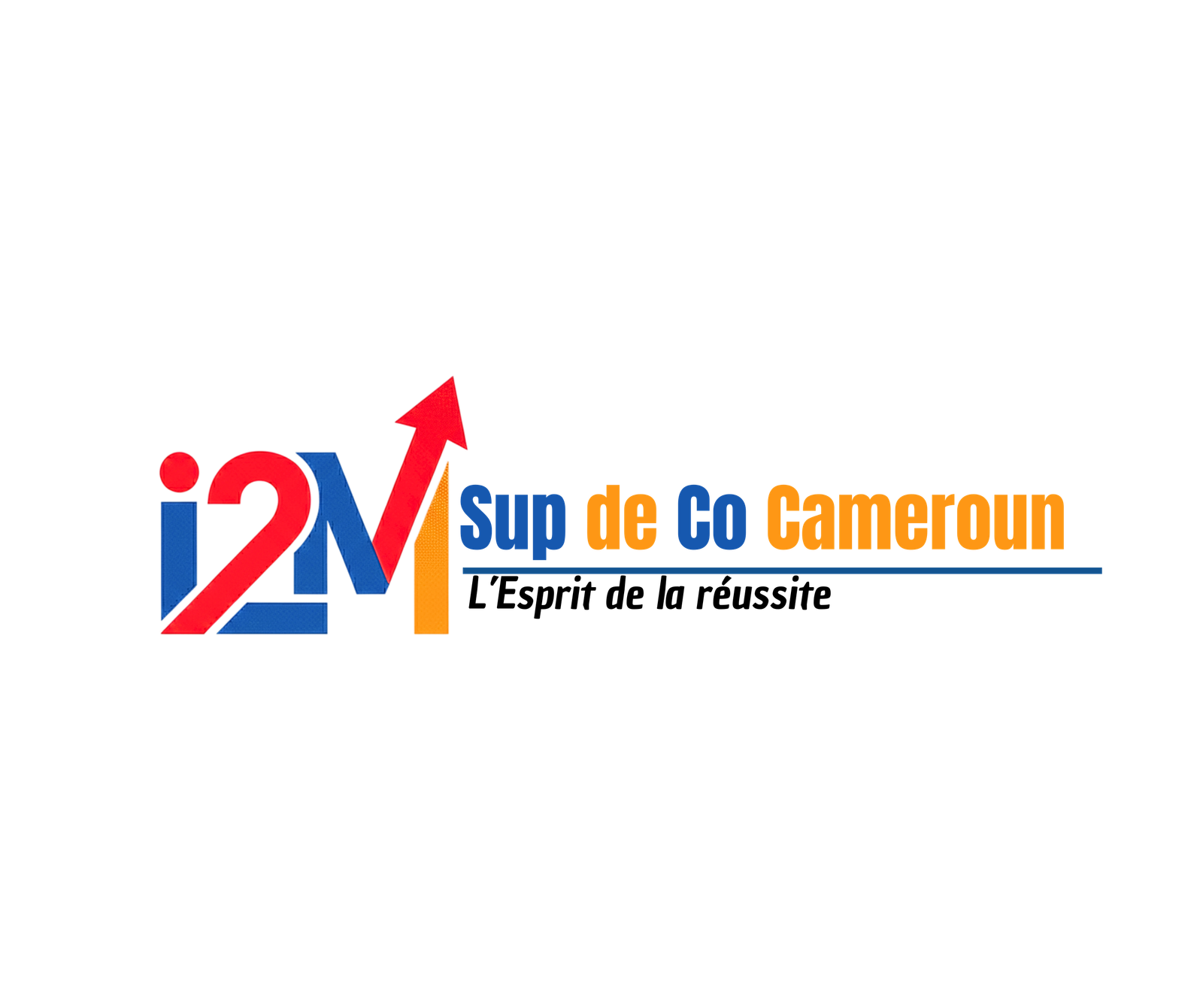 i2M Cameroun Logo
